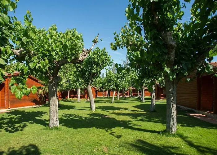 Attractive Bungalow With A Covered Terrace, 1 Km From Beach