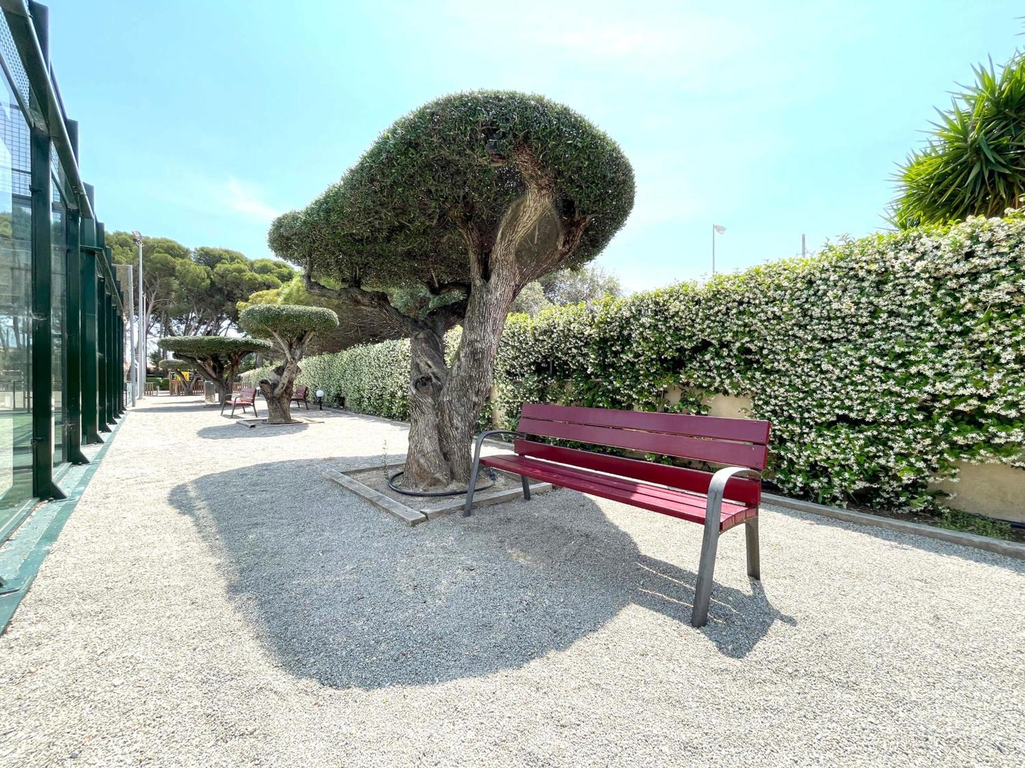 Apartment Synergie Si07 - Sol *