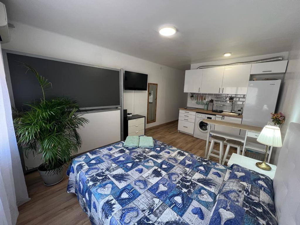 Apartment Roger *