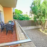 Sol Millet Litoral - Only Families