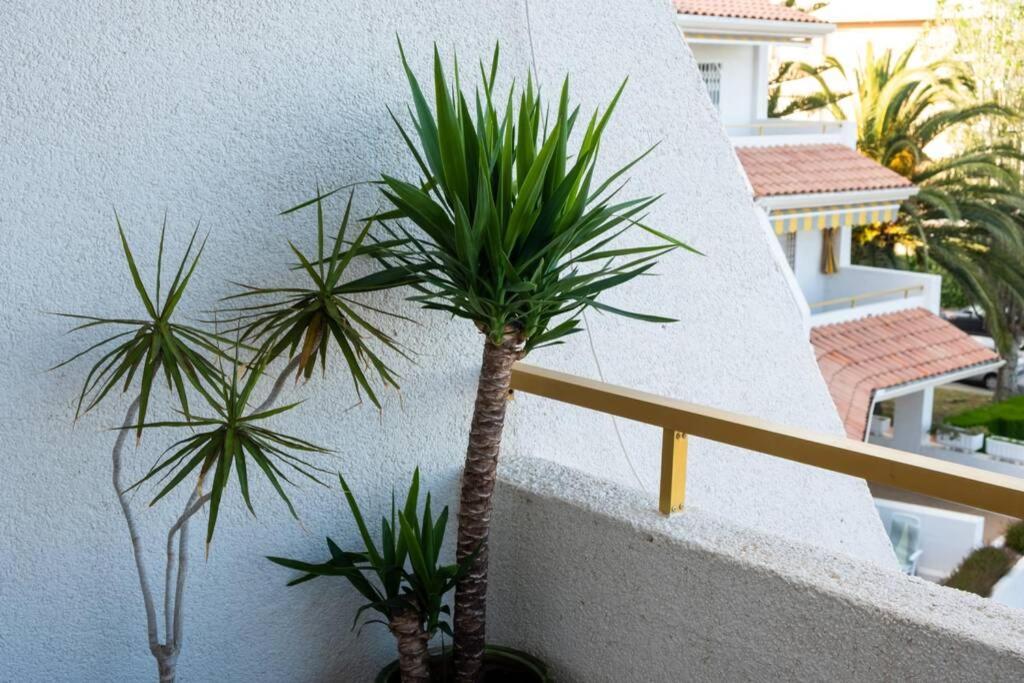 Apartamento Sobre El Mar, Con Piscina Y Wifi