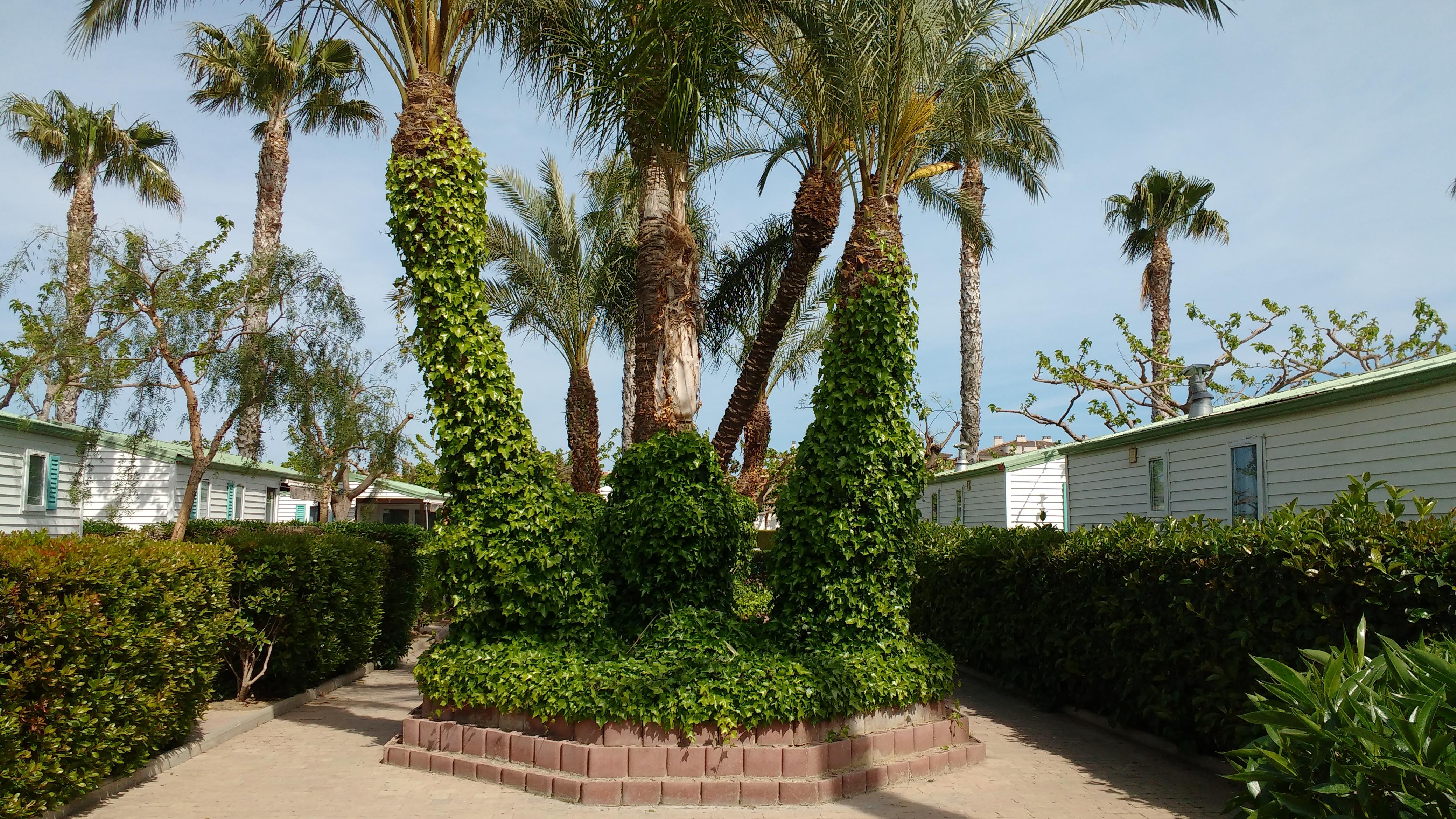 Camping Platja 3*