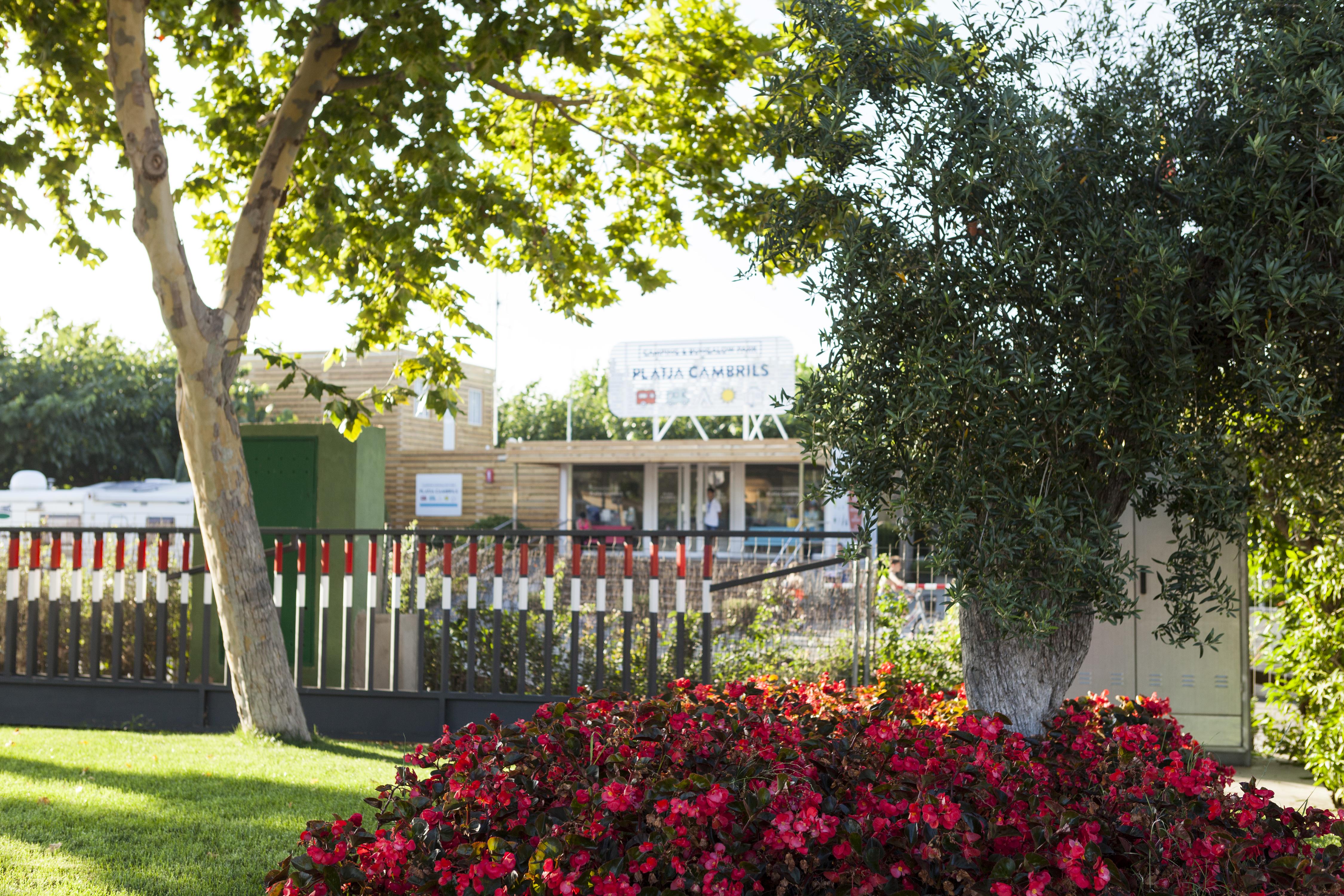 Campsite Platja Cambrils