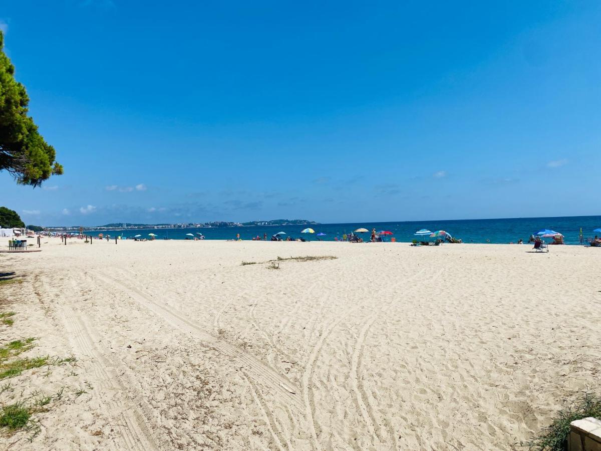 Golden Reddis Cambrils