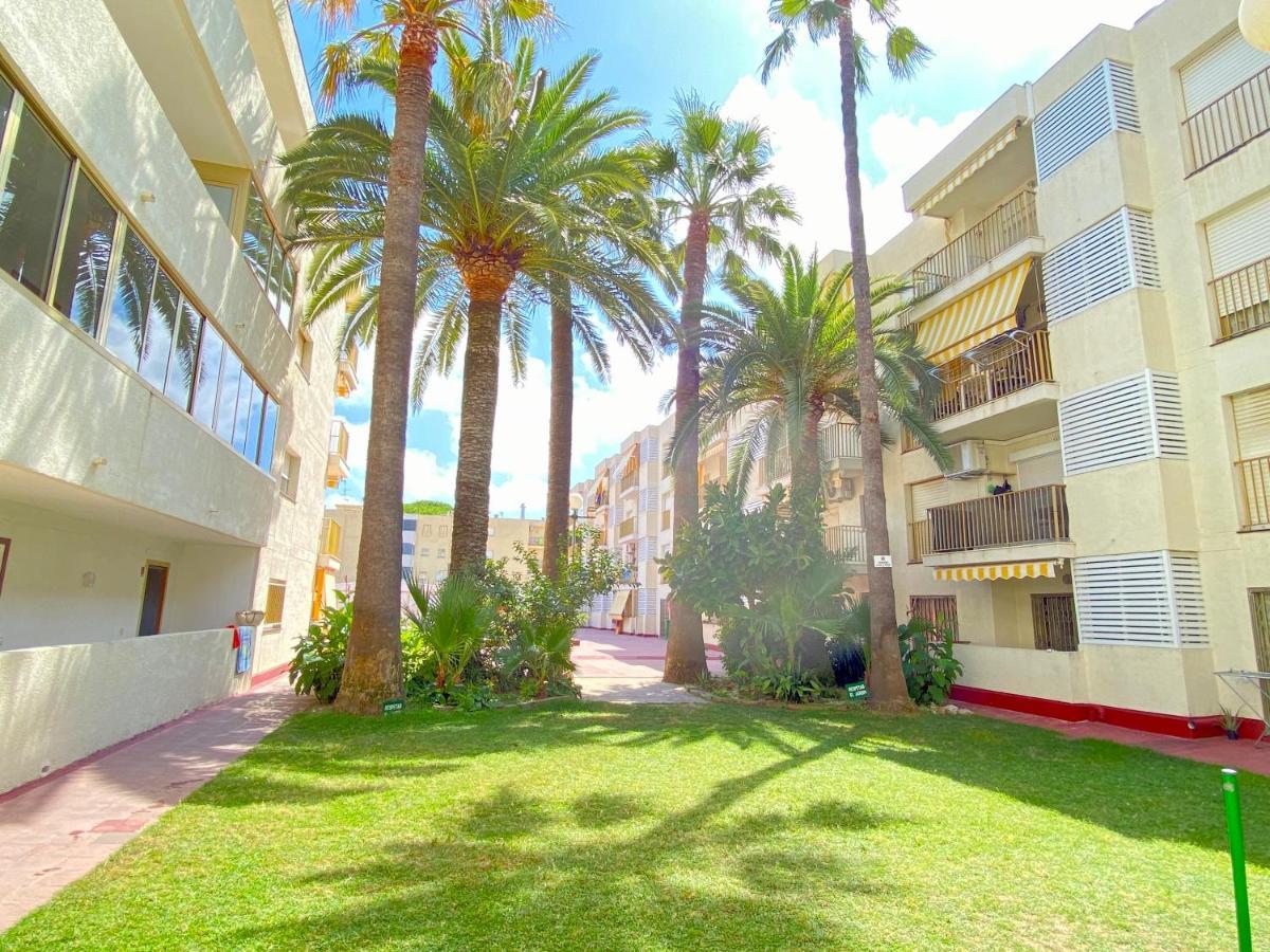 Golden Reddis Cambrils