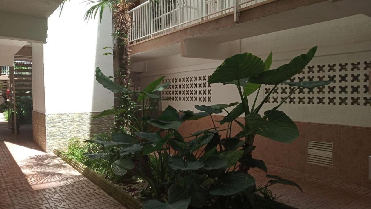 Bellamar 25 *