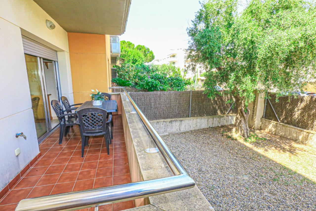 Sol Millet Litoral - Only Families *