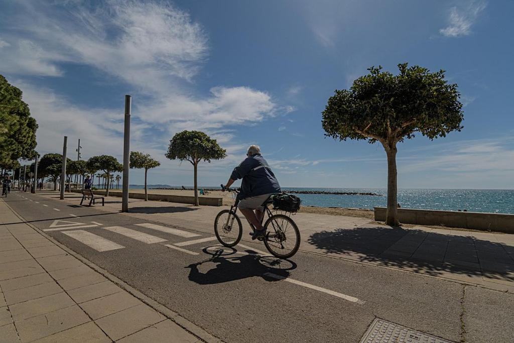 Vitaly * Cambrils