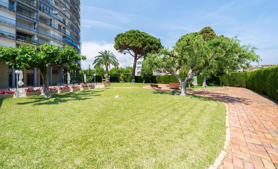 Aflordepiel Apartamento *