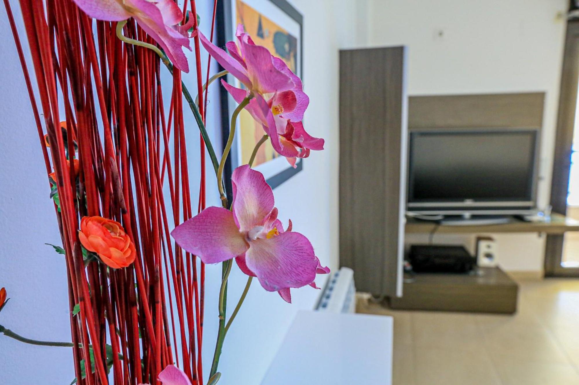 La Salle Litoral - Only Families Apartamento