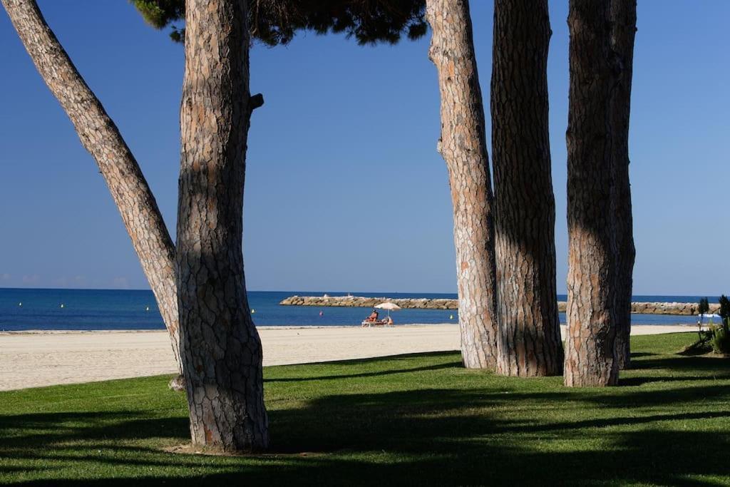 Atico Con Terraza/vistas Al Mar/parking Apartamento