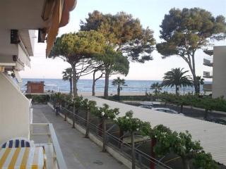 Colibri * Cambrils