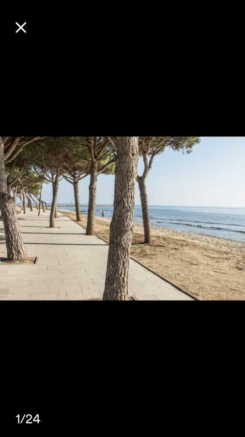 Dms4 Cambrils
