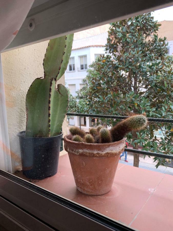 Apartamento Cambrilsfornia
