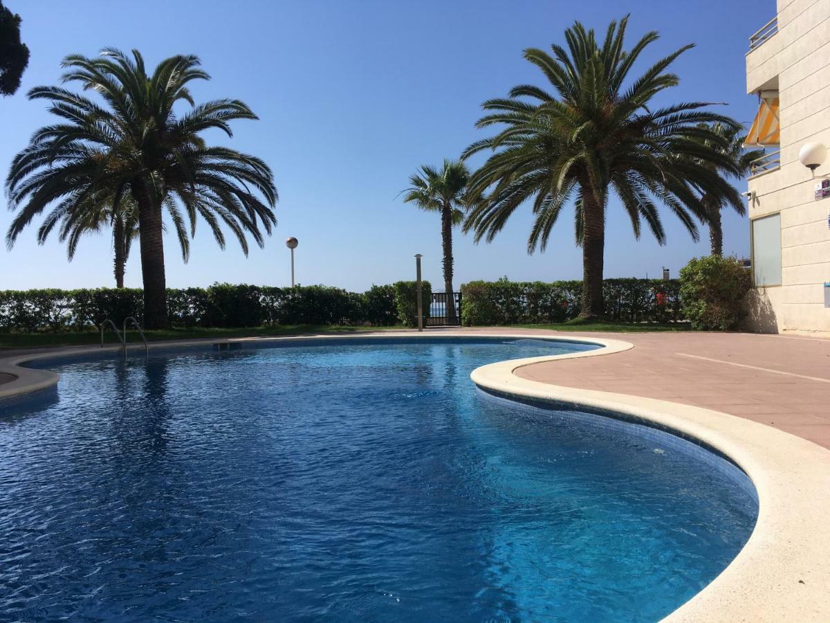 Colibri And Sun Cambrils