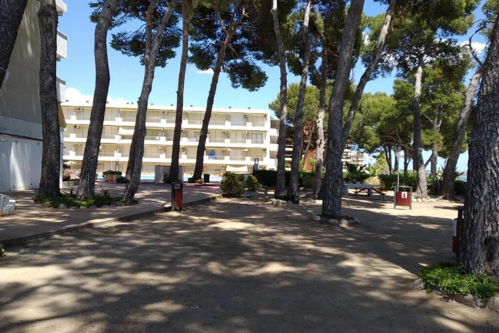 Apartment En Primera Linea De Mar En Vilafortuny,